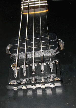 Shecter Diamond Series 5 String Guitar Detail