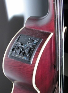Takamine B-10 Electro Acoustic Upright Bass
